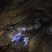 In den vorderen Räumen der Höhle gibt es Leuchtmoos, dessen Glitzern sich auf dem Foto nicht erkennen lässt