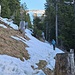 Dass der Gipfelbereich oberhalb der Waldzone weitgehend schneefrei ist, konnte ich gestern schon auf einer Webcam vom Skigebiet Pizol sehen. Mit dieser ca.100 m langen Schneepassage kurz vor Matan haben wir aufgrund früherer Touren im Frühjahr gerechnet.