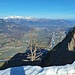 St. Galler Rheintal mit Alpstein