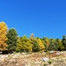 Die Natur hält vor allem im Herbst die eindrücklichste Farbpalette bereit.