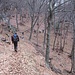 Si segue lungamente il sentiero nel bosco di faggi, che alterna tratti ripidi ad altri più tranquilli (come questo).