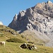 Das Refuge des Espuguettes (2027m) diesmal von unten. Die Landschaft hat schon fast Dolomitenqualitaet.