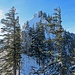 Vor uns nun das Zellerhorn.  Ernsthaft, da soll man rauf kommen?  Ja, und zwar indem man die Felswand rechts unterhalb umgeht.