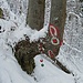 Weihnachtlich geschmückte "Baumgams"
