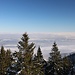 Nebel im Alpenvorland