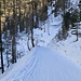 Abfahrt über die Rodelbahn