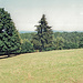 Landschaft am Märzenberg, südlich der Stadt mit Blick gegen Norden. Weiden und Wälder wie hier sind typisch für den Thüringer Wald. (Aufnahme vom Do. 07.08.2003)
