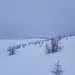 Graues Wetter und Schneefall am Munt Müsella