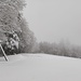 Neuschnee am Chrineberg mit eher grauem Wetter