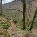 Der Abstieg von hier ins Wildensteiner Tal wird seit Jahren nicht mehr gepflegt und gehört zu den anspruchsvolleren Pfaden des Donnersberggebiets. Von unten ist er kaum zu finden. Über verrutsche Stufen ging's hinunter.