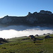 Auf der Alp Sigel: Im Hintergrund ist die Stauberenchanzlen zu erkennen