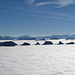Einzigartig: Die Gipfel der Churfirsten über dem Nebelmeer