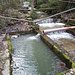 Be- und Entwässerung der Fischteiche am Tobelbach
