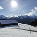 Alpe und Winterstaude