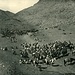Eine Karawane am Khyber Pass in einer historischen Aufnahme im Jahre 1860 (Quelle Wikimedia, Autor Bourne)