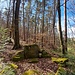 Der Gedenkstein für Julius Schmitt, Verfasser von "Der Wonnegau der Pfalz und sein angrenzendes Waldgebiet".