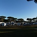 Rückblick auf "unseren" Stellplatz "Algarve Motorhome Park Falesia", wo wir zZ campieren...