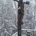 Gipfelkreuz aus dem Jahr 1994.Der Bildhauer aus Lochau hat die Einweihung leider nur 1 Monat überlebt.