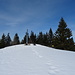 Am Gipfel des Roßeck herrscht noch tiefer Winter.