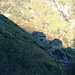 Abstieg vom Monte Zucchero nach Sonogno - Püscen Negro