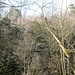 Hier sieht man nach oben blickend einen meiner heutigen Felsen, den Großen Dülferklotz. Links vorne ein Vorfelsen der Marienwand.
