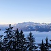 Nebelmeer