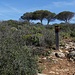 Wanderzeichen in der Algarve...