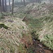 Alte Bergbauanlagen in Böhmen, verbrochenes Mundloch mit hohem Wasserandrang