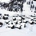 Alpe Lendine vista dal drone