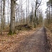 In einer weiten Linksschleife ging es auf dem Rundwanderweg "Schwäbisch Hall 1" durch den Wald nach Schwäbisch Hall-Hessental