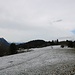 Wald und Wese wechseln sich ab
