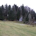von der Alpe Müller hinauf zur Ruine Vorderburg