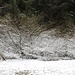ein Hauch Winter...aber nicht mehr