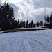 Zweiter Anstieg auf der Zwieselberg Familyabfahrt. Das Foto zeigt eine der zwei komplett ausgeaperten Flächen, die heute aber noch am Rand auf einem schmalen Schneeband befahrbar waren.<br /><br />Foto 17.03.2024