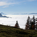 Der Nebel ist gestiegen auf etwa 1600 Meter