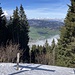 das Gipfelkreuz wirft seinen Schatten - Richtung Schüpfheim