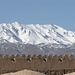 Der 4483m hohe schneebedeckte Kuh-e Hazaran ist der höchste Gipfel des Kuhrud Gebirges (Foto: www.travital.com). Wir passierten ihn nachdem wir die Oase Bam hinter uns gelassen hatten. 