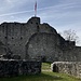 Ruine Obere Schellenberg