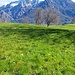le Grigne dall'alpe di Monte