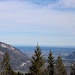 hinten der Woid