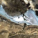 Der Salzsee "Bakhtegan Lake" fotografiert aus dem All. Der ehemals zweitgrösste See Irans, etwas grösser als der Bodensee, ist heute fast vollständig ausgetrocknet. Satellitenfoto JAXA / ESA. 