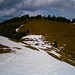 Gampberg Gipfelflanke