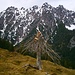 Blitzbaum mit den Hohen Köpfen im Hintergrund