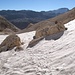 Im Val dei Cantoni gibt es einige wenige Schneeflecken von jeweils geringer Ausdehnung - sie behindern den Aufstieg keinesfalls. Im Hintergund La Fradusta (2939 m).