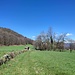 da Mondonico in direzione del sentiero verso il Monte Scerrè