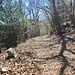 sulla strada di discesa