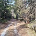 Schöner Spaziergang