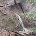 dritter Nagelfluh-Wasserfall im Hauptarm des Chräzerentobels, im Oberlauf, bei 630-626m