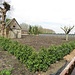 rojosuizas Gartenlaube