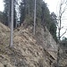 Widerberg